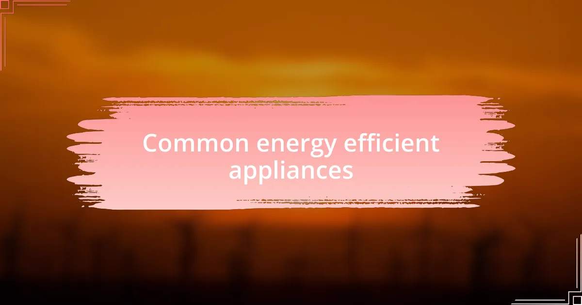 Common energy efficient appliances