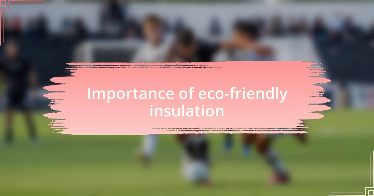 Importance of eco-friendly insulation