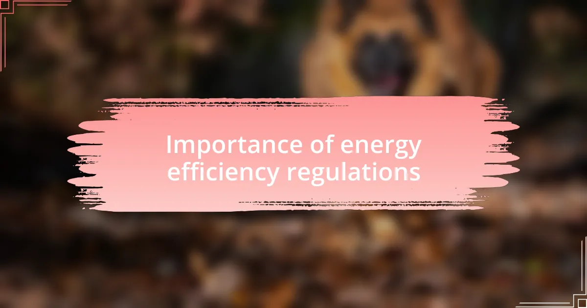 Importance of energy efficiency regulations