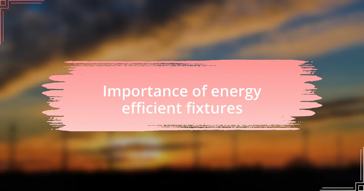 Importance of energy efficient fixtures