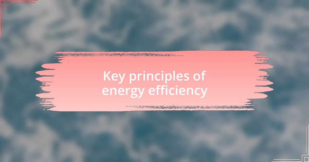 Key principles of energy efficiency